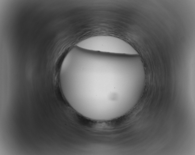 X0000089930177200706290803