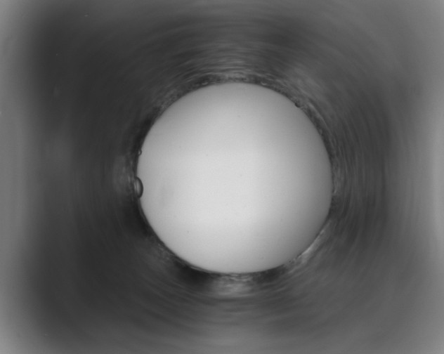 X0000089930179200706290803