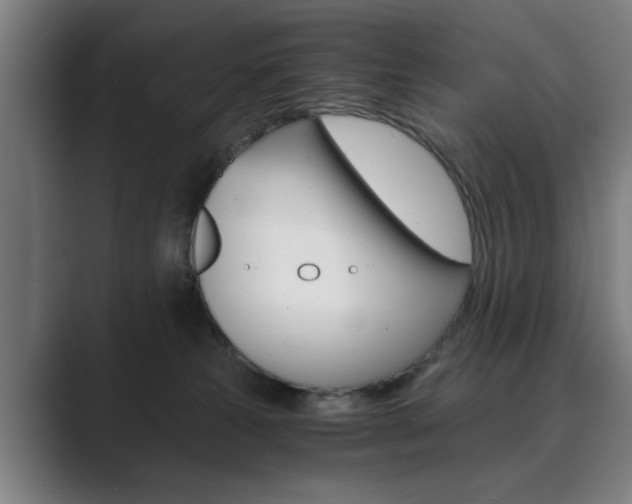 X0000089930181200706290803