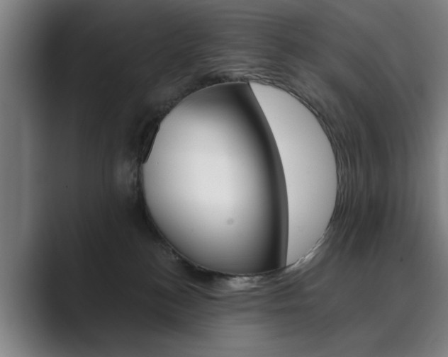 X0000089930184200706290803