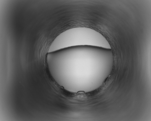 X0000089930185200706290803