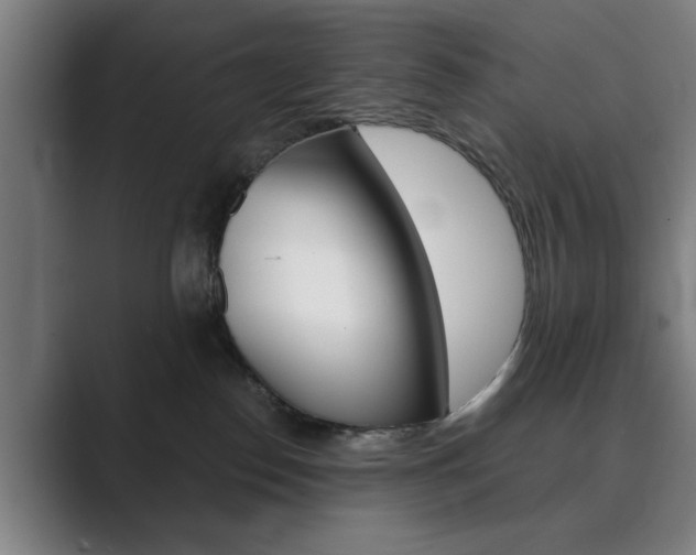 X0000089930186200706290803