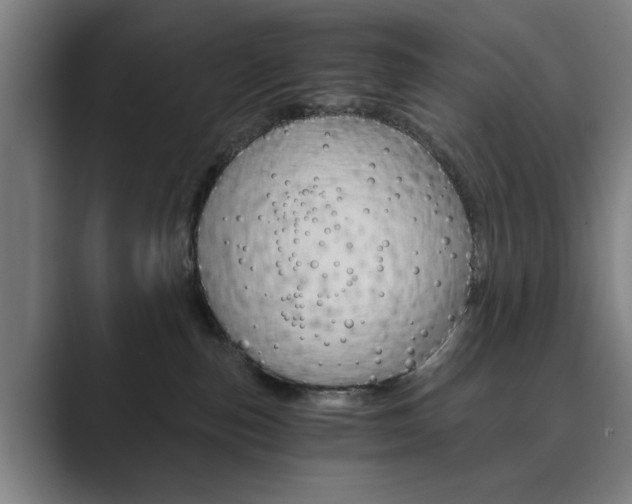 X0000089930187200706290803