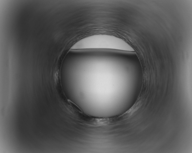 X0000089930188200706290803