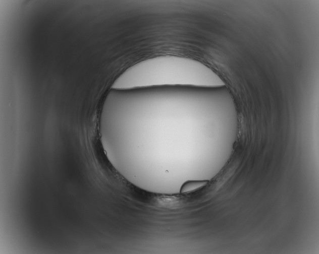 X0000089930189200706290803