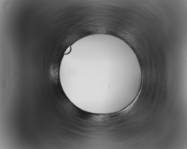 X0000089930190200706290803