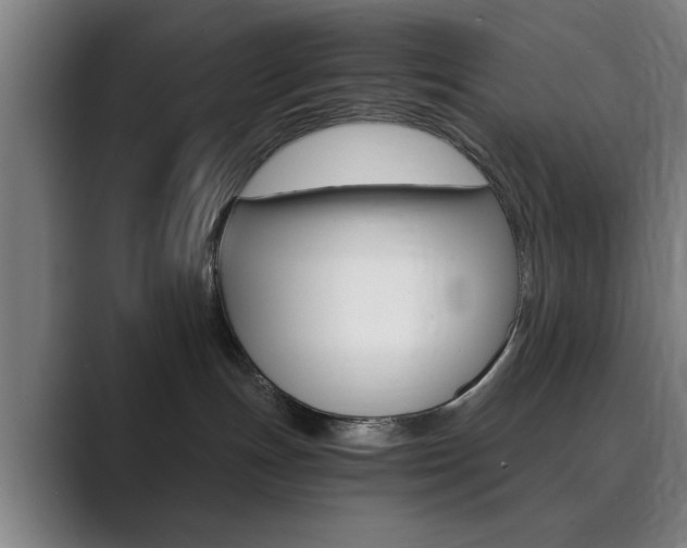 X0000089930191200706290803