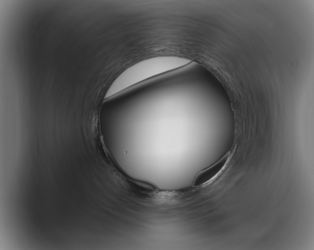 X0000089930192200706290803
