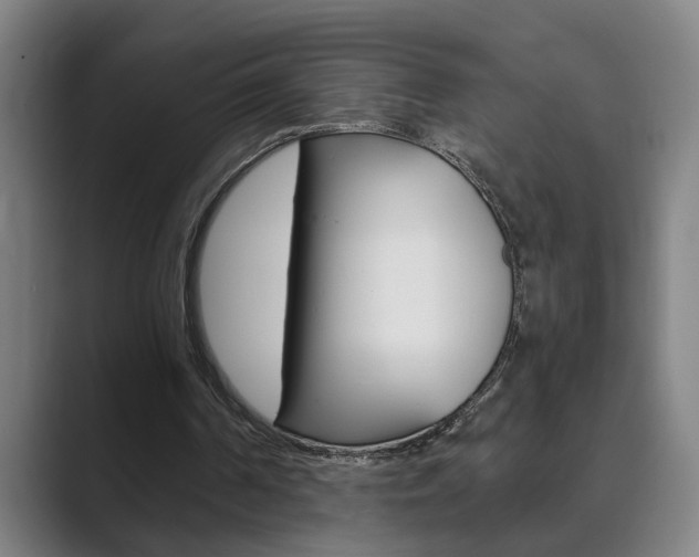 X0000089930194200706290802