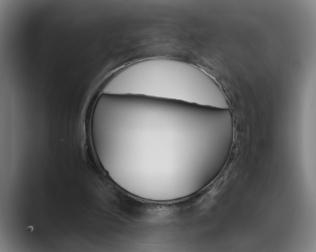 X0000089930198200706290802