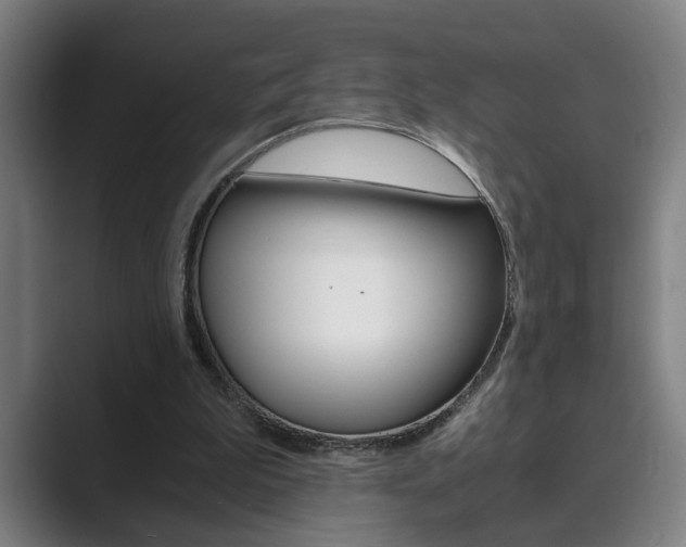 X0000089930199200706290802