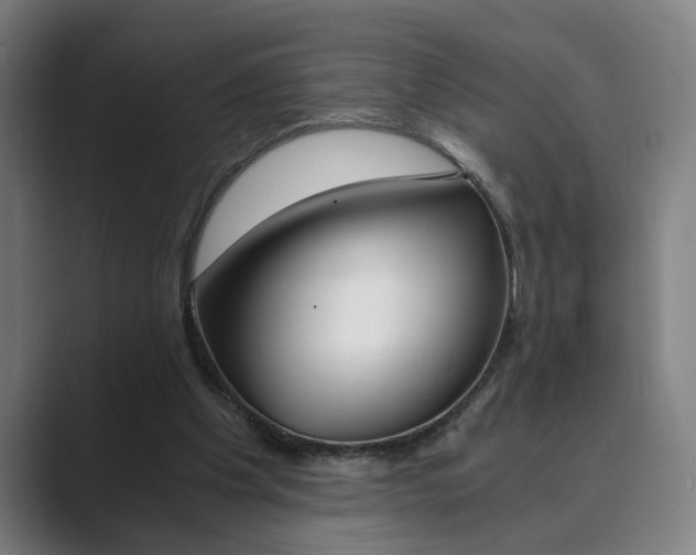 X0000089930201200706290802