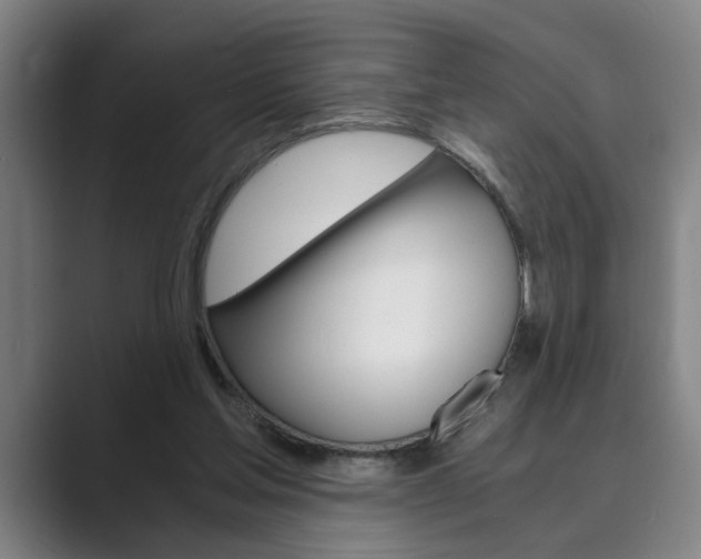 X0000089930205200706290802