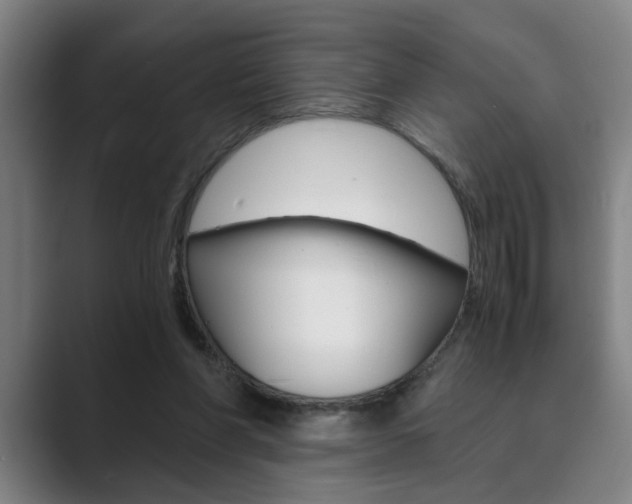 X0000089930206200706290802