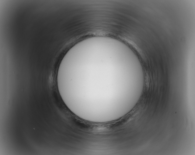 X0000089930208200706290802