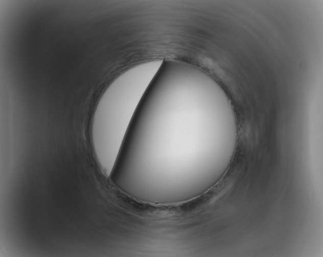 X0000089930209200706290802