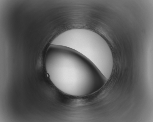X0000089930212200706290802