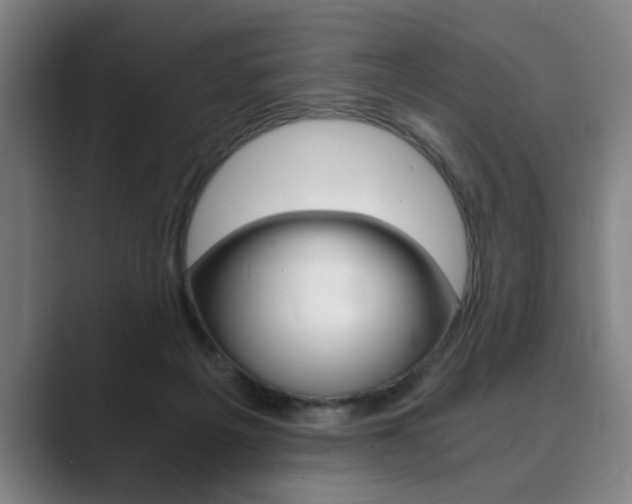 X0000089930217200706290802