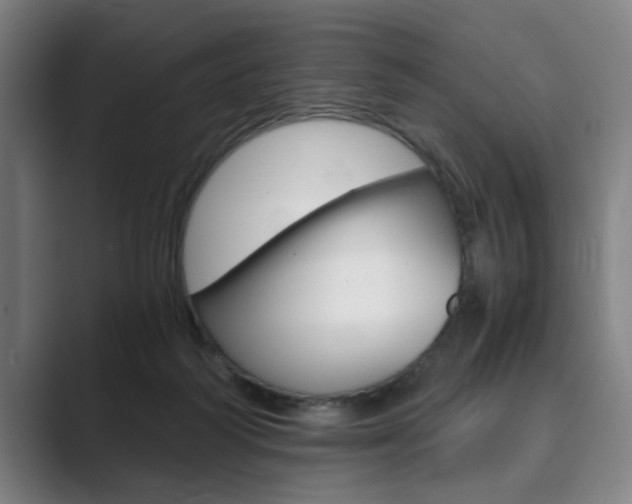X0000089930218200706290802