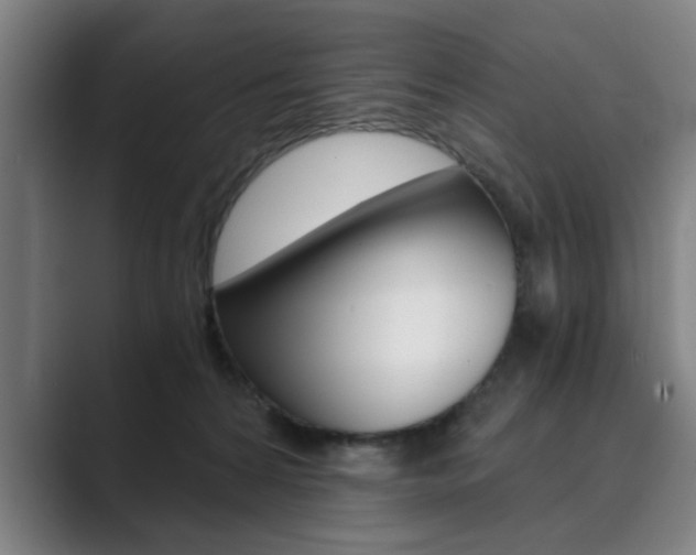 X0000089930224200706290802
