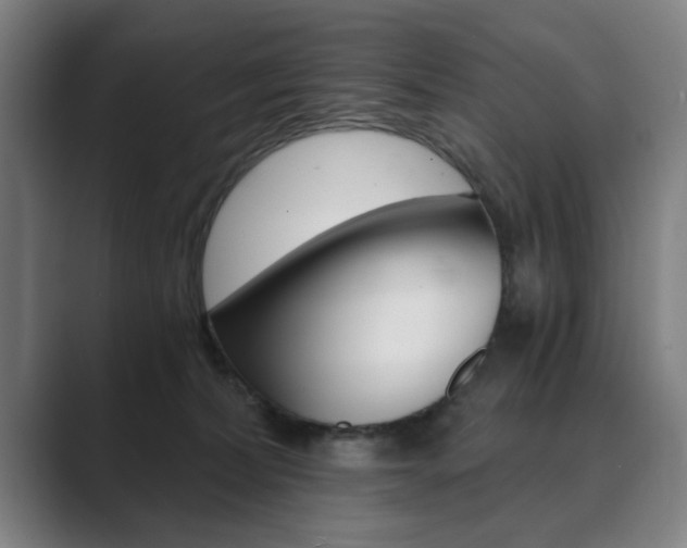 X0000089930228200706290802