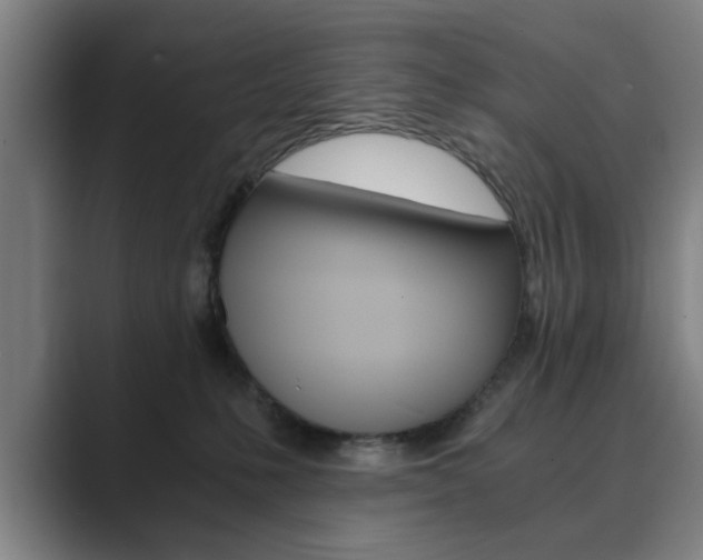 X0000089930231200706290802