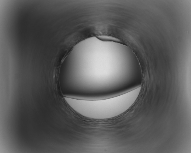 X0000089930233200706290802
