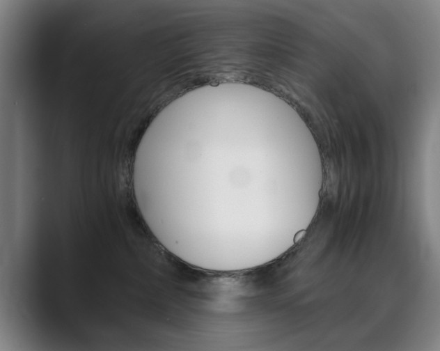 X0000089930236200706290802