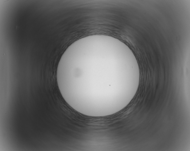 X0000089930237200706290802