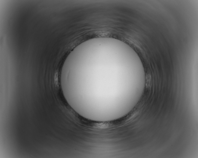 X0000089930238200706290802