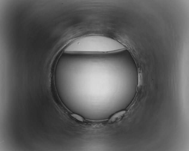 X0000089930243200706290801