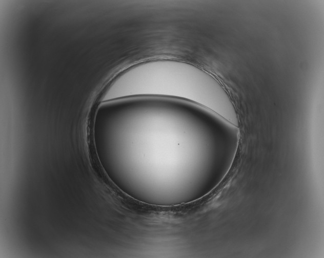X0000089930244200706290801