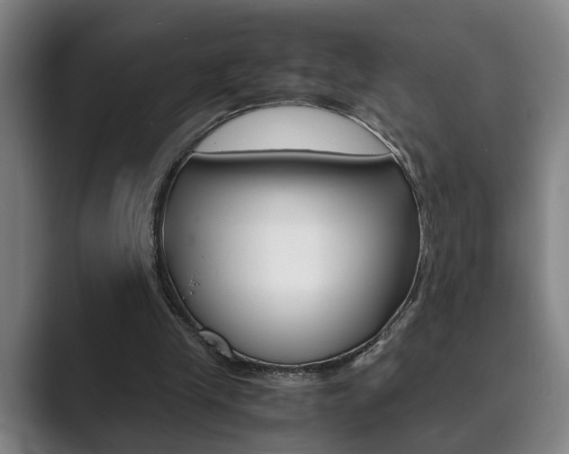 X0000089930245200706290801