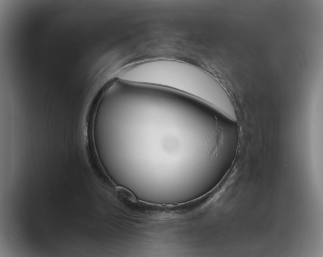 X0000089930246200706290801