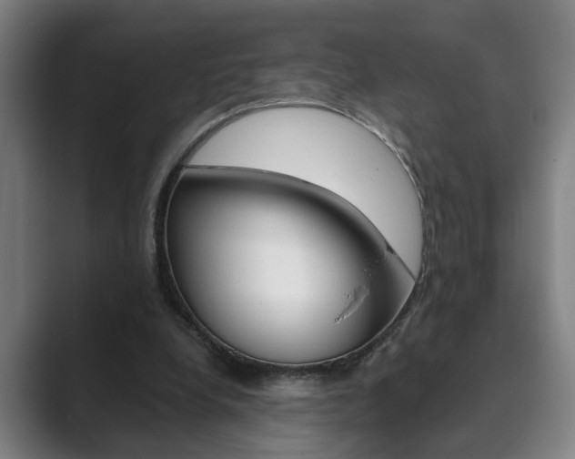 X0000089930248200706290801