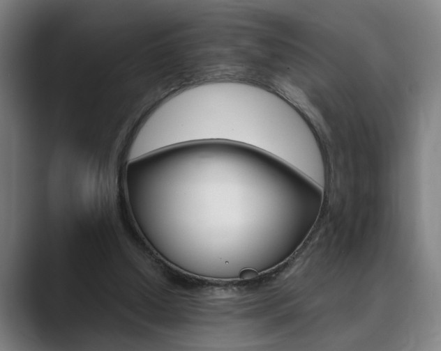 X0000089930250200706290801