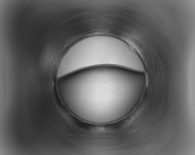 X0000089930253200706290801