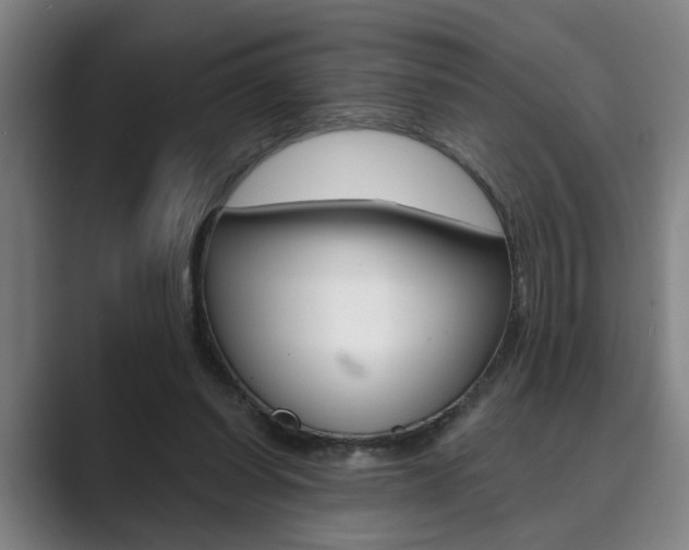 X0000089930254200706290801