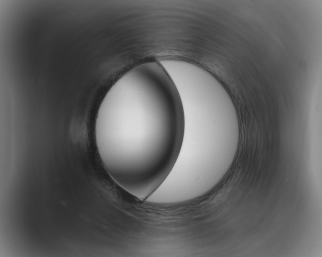 X0000089930256200706290801