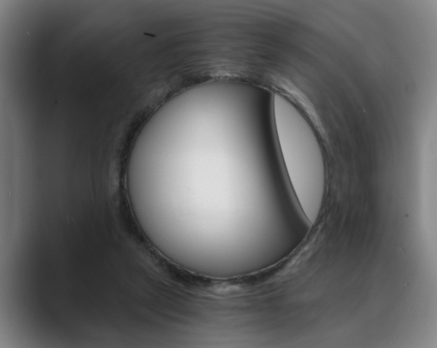 X0000089930257200706290801