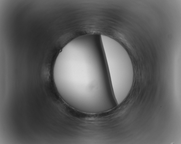 X0000089930259200706290801