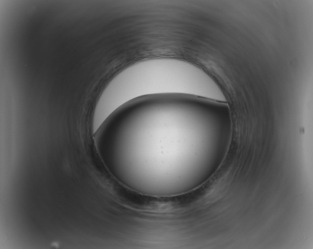 X0000089930260200706290801