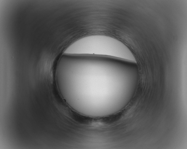 X0000089930262200706290801