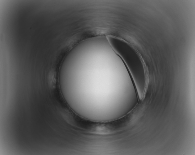 X0000089930264200706290801