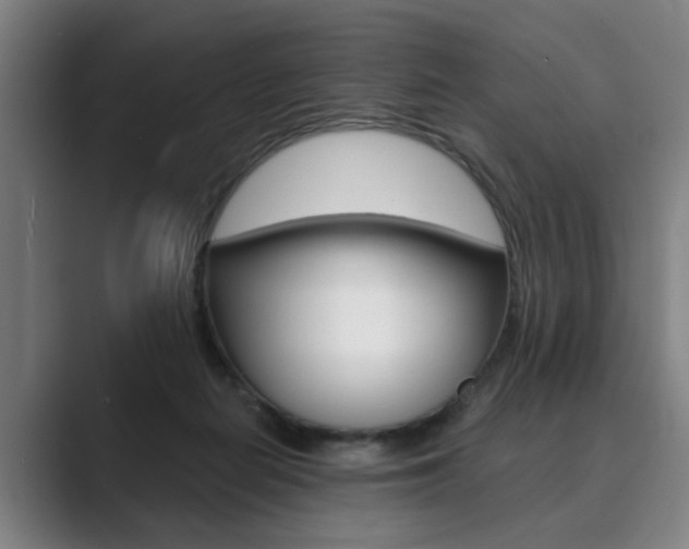 X0000089930266200706290801