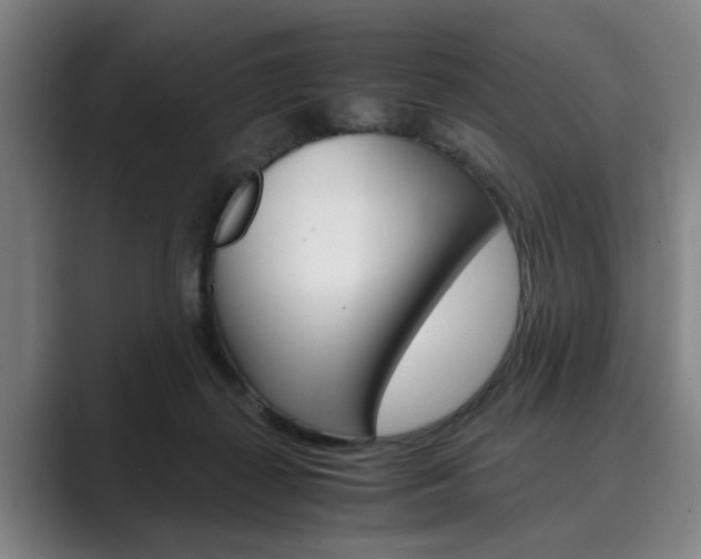 X0000089930267200706290801