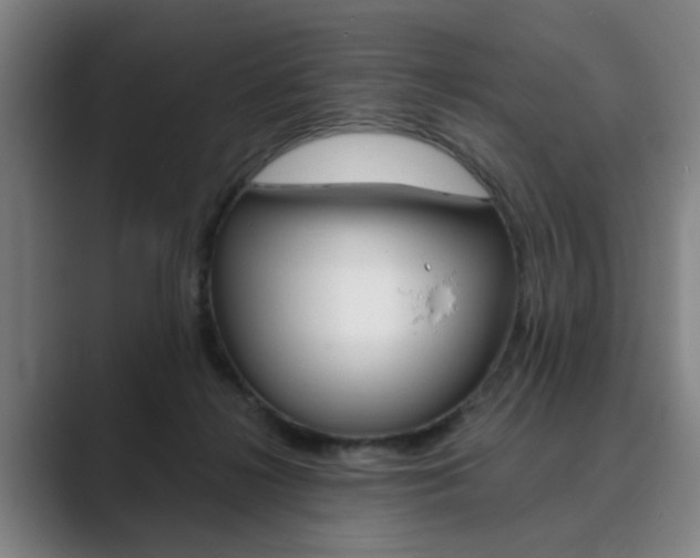 X0000089930268200706290801