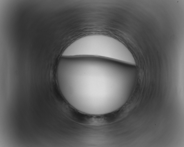 X0000089930270200706290801