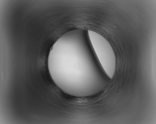 X0000089930275200706290801