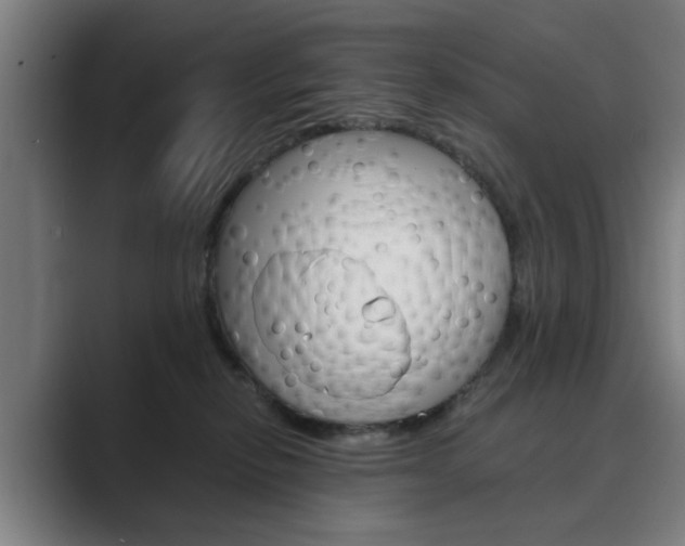 X0000089930278200706290801